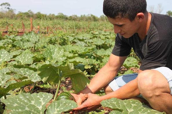 Efa Cristo Rey. Espera inversiones en horticultura, ganadería e industria.